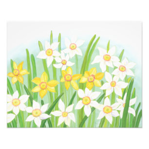 Spring Daffodils Photo Print