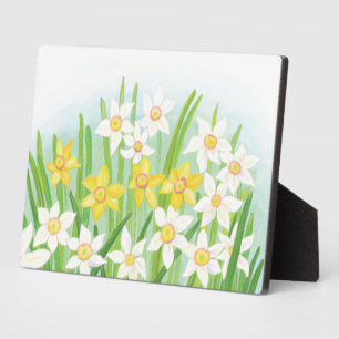 Spring Daffodils   Plaque