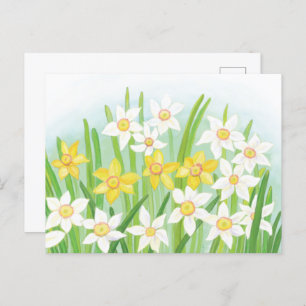 Spring Daffodils Postcard