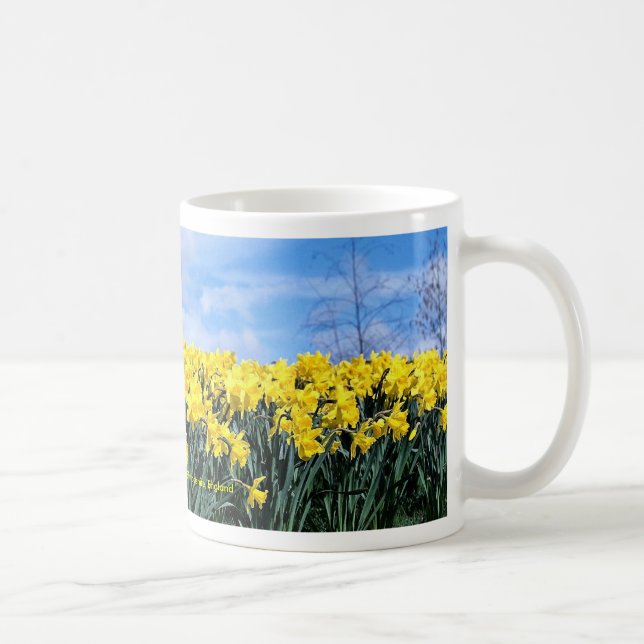 Spring daffodils, Shrewsbury, Shropshire, England Coffee Mug (Right)