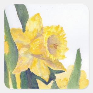 Spring Daffodils Square Sticker