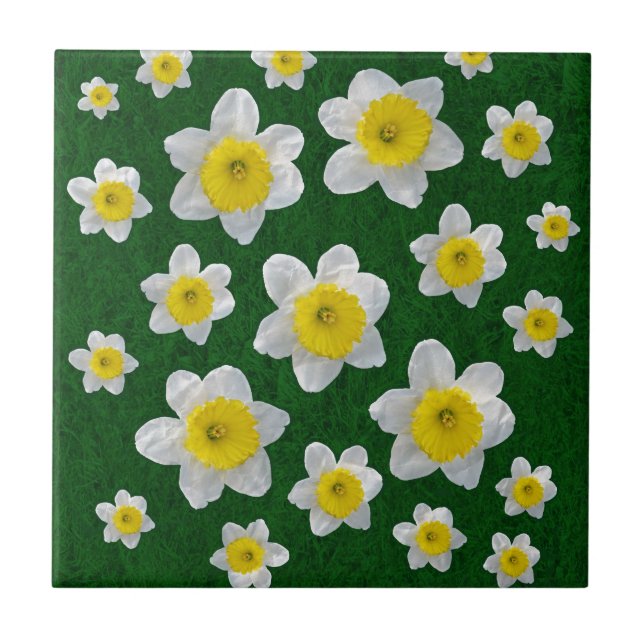 Spring Daffodils Tile (Front)