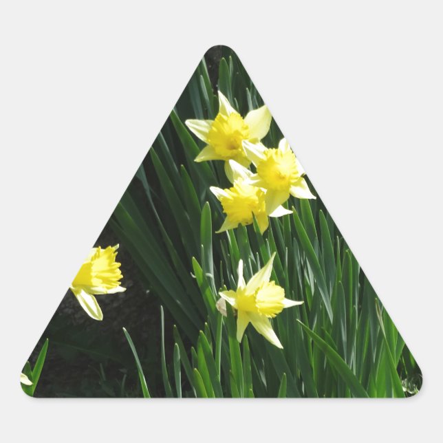 Spring Daffodils Triangle Sticker (Front)