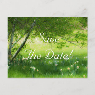 Spring Daffodils Wedding Save The Date Announcement Postcard