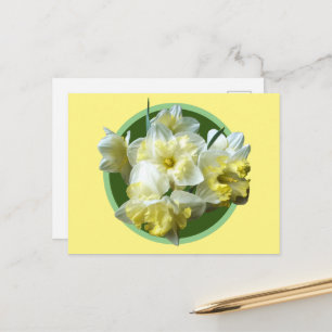 Spring Daffodils White Yellow Narcissus Flowers Postcard