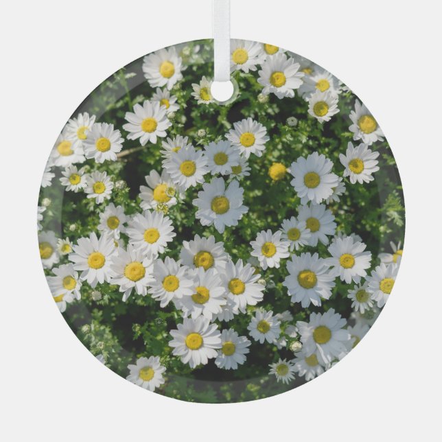 Spring Daisy Field: Serene Background Glass Tree Decoration (Front)
