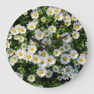 Spring Daisy Field: Serene Background Large Clock