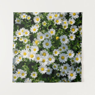 Spring Daisy Field: Serene Background Tapestry