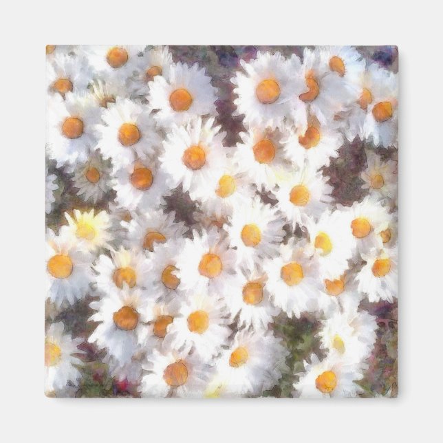 Spring Daisy Wildflower Watercolor Magnet (Front)