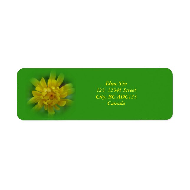 Spring dandelion flower, green labels (Front)