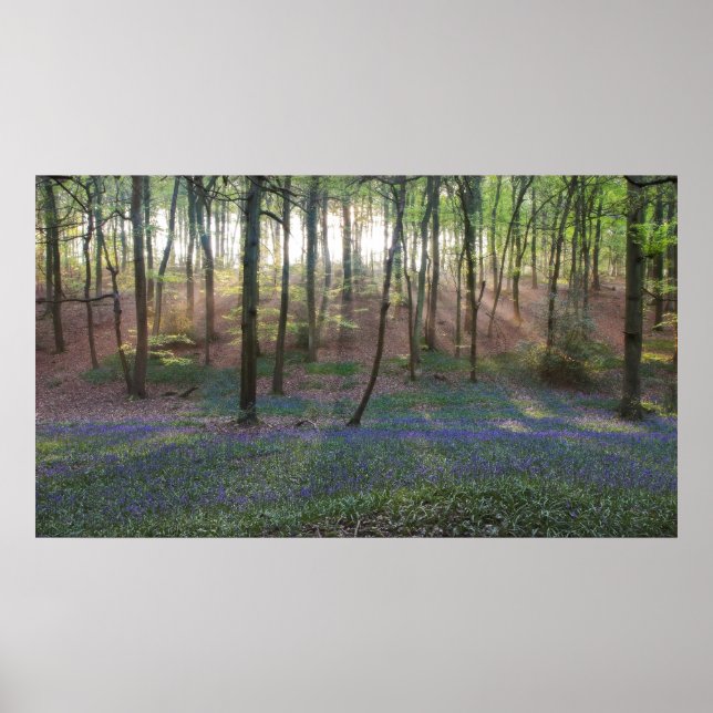 Spring Dawn Poster (Front)