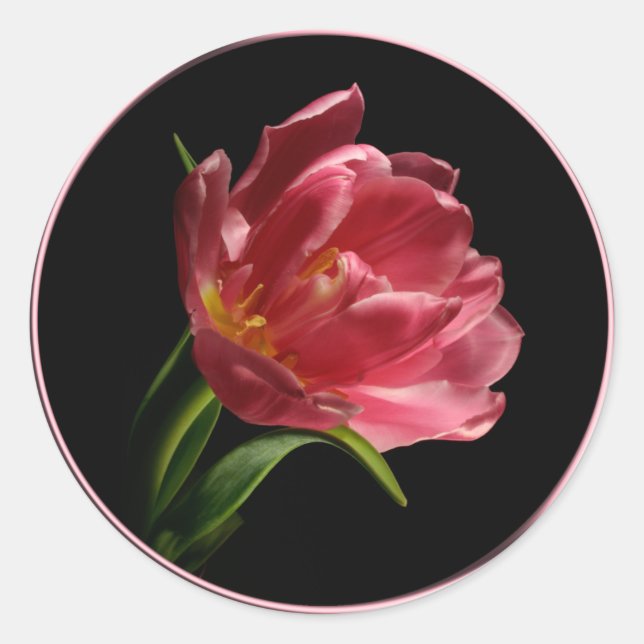 Spring Double Bloom Tulip Envelope Seal Sticker (Front)