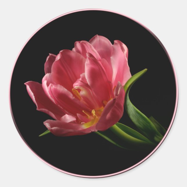 Spring Double Bloom Tulip Envelope Seal Sticker (Front)