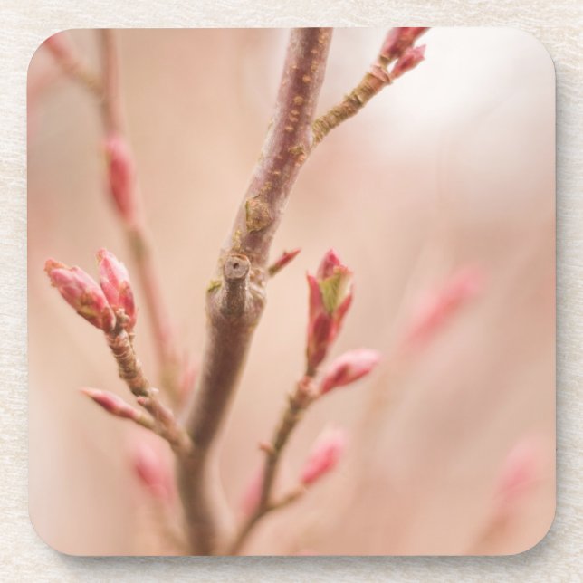 Spring dreams cork coasters (Front)