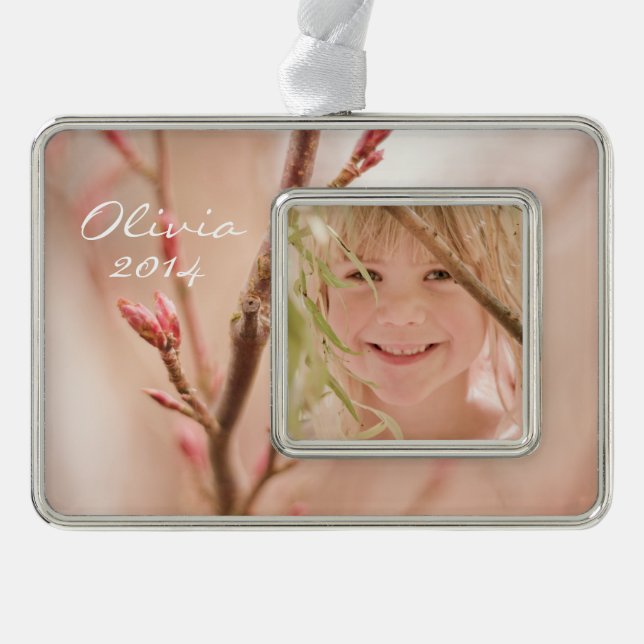 Spring dreams silver plated framed ornament (Front)