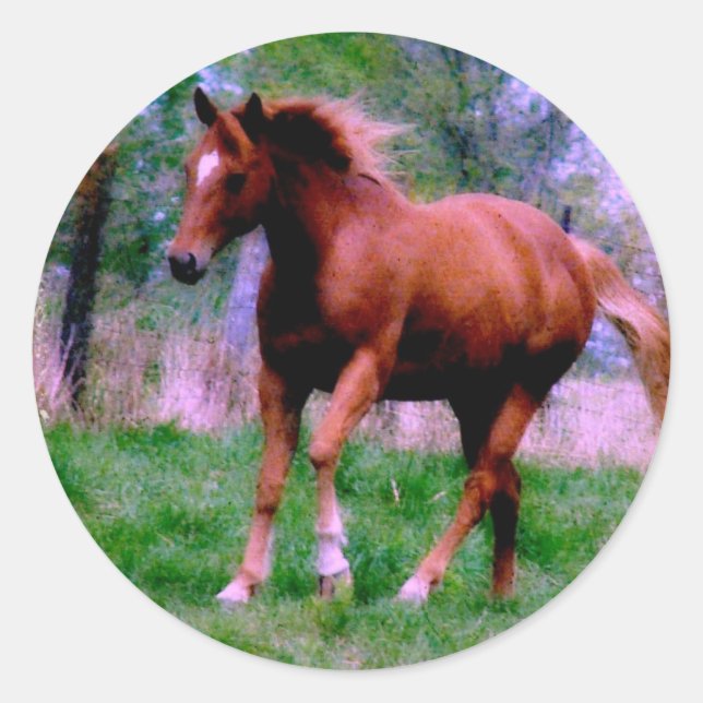 Spring Dreams, Sorrel Trotting Classic Round Sticker (Front)