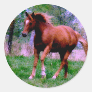 Spring Dreams, Sorrel Trotting Classic Round Sticker