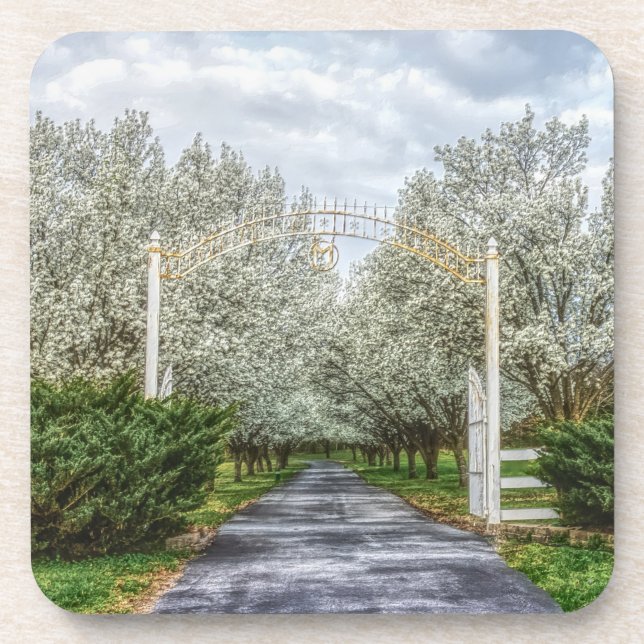 Spring Drive Home Coaster (Front)