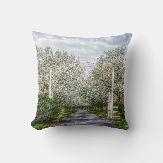 Spring Drive Home Cushion (Front)