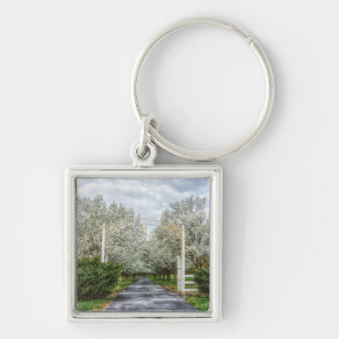 Spring Drive Home Key Ring