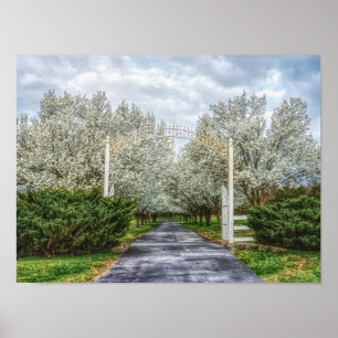 Spring Drive Home Poster