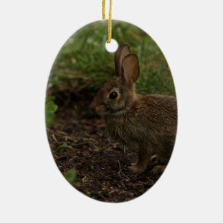 Spring/Easter: Chick, Rabbit Ceramic Tree Decoration