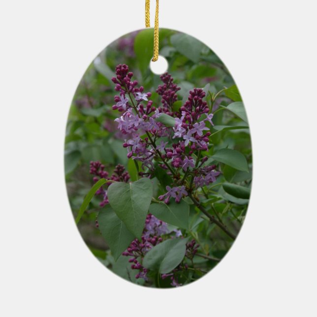 Spring/Easter: Curious lamb, lyric lylacs Ceramic Tree Decoration (Back)