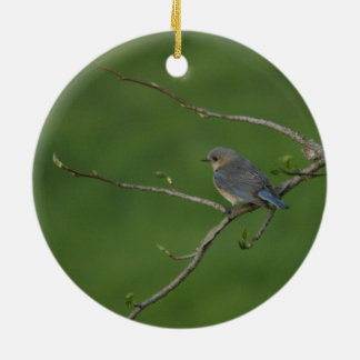 Spring/Easter: Male Bluebird, Female Bluebird Ceramic Tree Decoration