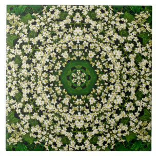 Spring Elderberry Flowers Ceramic Tile