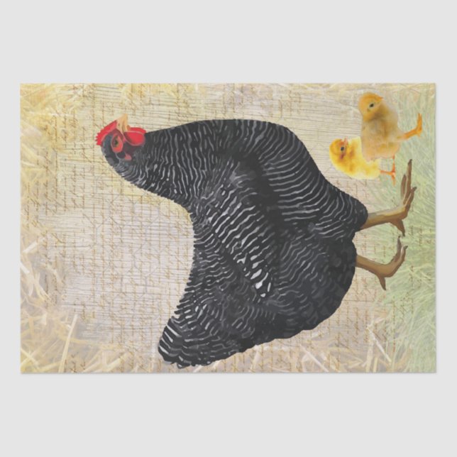 Spring Farm Hen Chickens Watercolor Tissue Paper (Front)