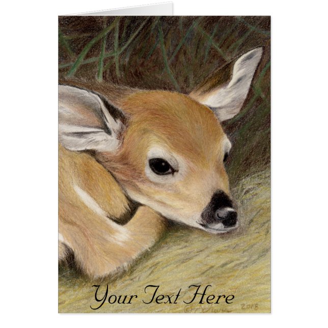 Spring Fawn (Front)