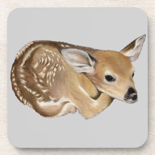 Spring Fawn Coaster