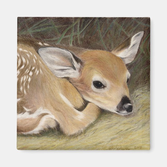 Spring Fawn Magnet (Front)