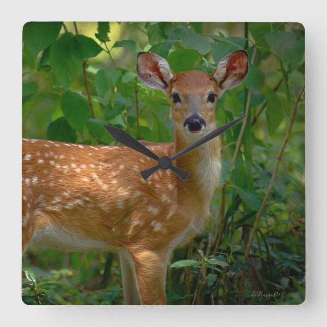 "Spring Fawn"  Square Wall Clock (Front)