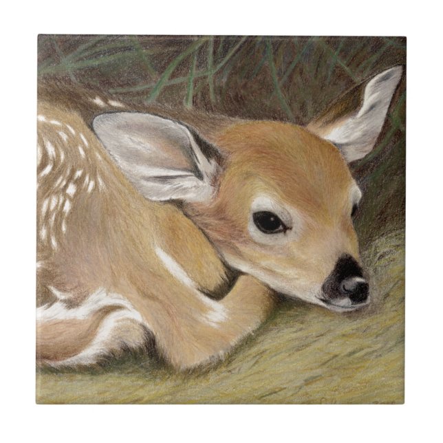 Spring Fawn Tile (Front)