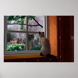 Spring Fever Poster