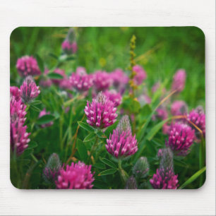 Spring Field Mouse Mat