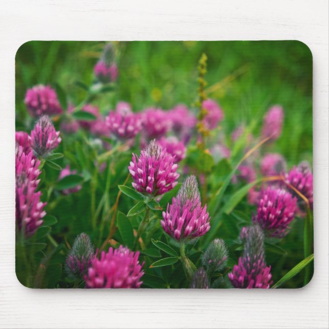 Spring Field Mouse Mat (Front)