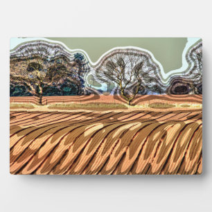 SPRING FIELDS PLAQUE