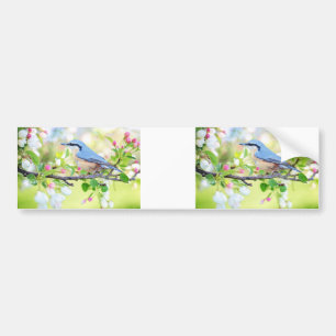 spring fling bluebird bumper sticker