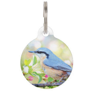 spring fling bluebird customisation dog tag