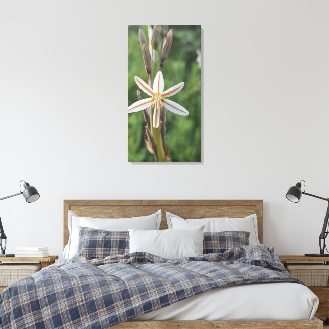 Spring flora South Africa Canvas Print (Insitu(Bedroom))