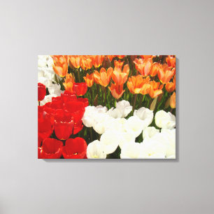 Spring Floral Canvas Art Prints Tulip Flowers