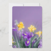 Spring Floral Greeting, pastel aesthetic
