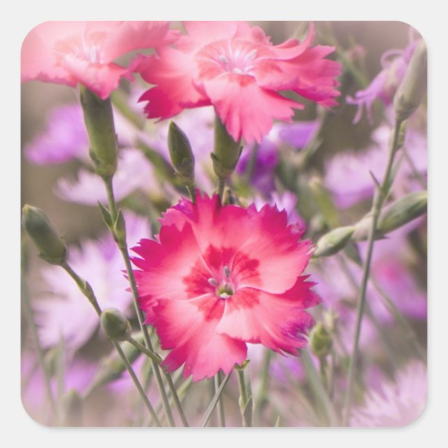 Spring Floral Square Sticker (Front)