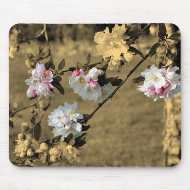 Spring Flower Blossoms In Sepia  Mouse Mat (Front)