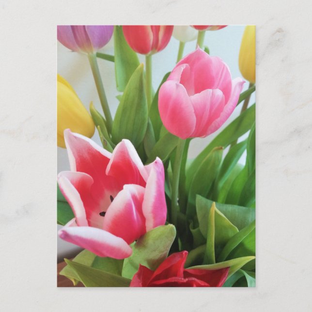 Spring Flower Bouquet Tulips, Floral, Nature Postcard (Front)