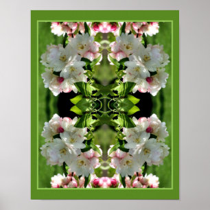 Spring Flower Crabapple Blossoms Abstract Poster