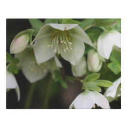 Spring Flower Faux Wrapped Canvas Print