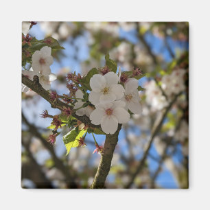 Spring Flower Magnet